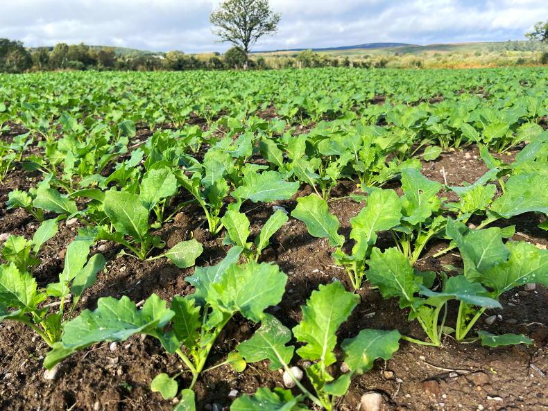 What 12 tillage farmers learned in 2026 and will change for next year What 12 tillage farmers learned in 2026 and will change for next year