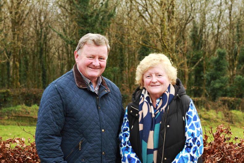 Carrick livestock society to mark 100 years with pedigree show and sale Carrick livestock society to mark 100 years with pedigree show and sale