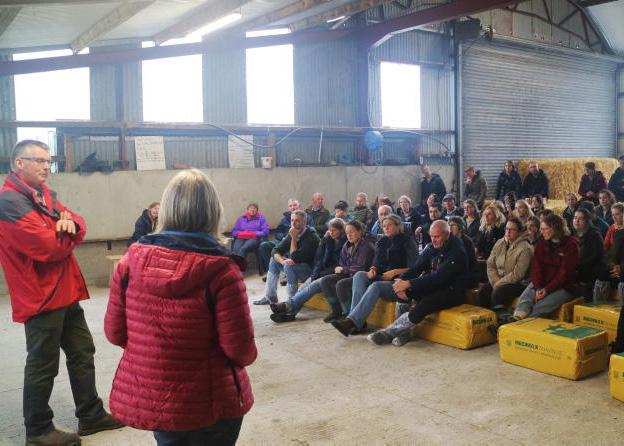 Covering all the flock health bases in Kilkenny Covering all the flock health bases in Kilkenny