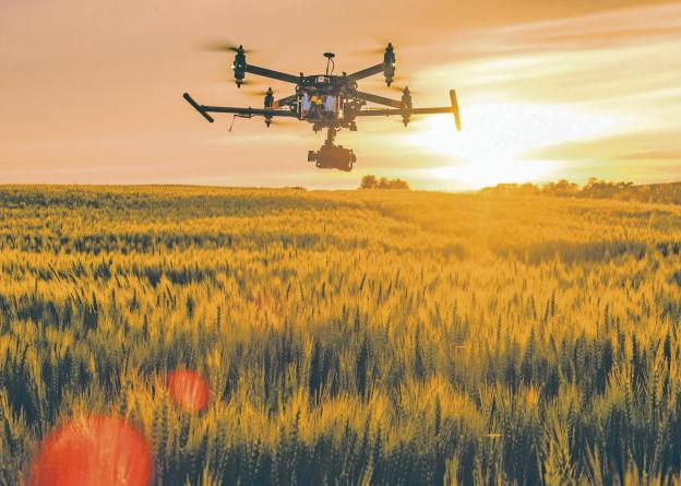 The technology already doing farm jobs and what drones could take on next The technology already doing farm jobs and what drones could take on next
