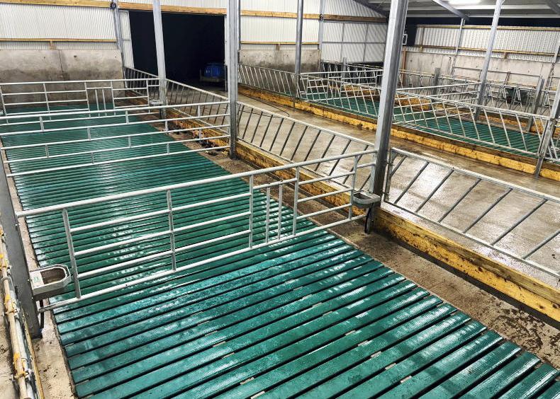 Key considerations with cattle lying and pen space this winter Key considerations with cattle lying and pen space this winter
