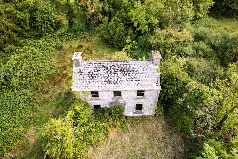 62-acre Kilkenny farm with two farmhouses guides at €920,000 62-acre Kilkenny farm with two farmhouses guides at €920,000
