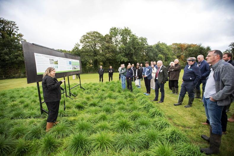 AFBI and DLF look to the future for grass AFBI and DLF look to the future for grass