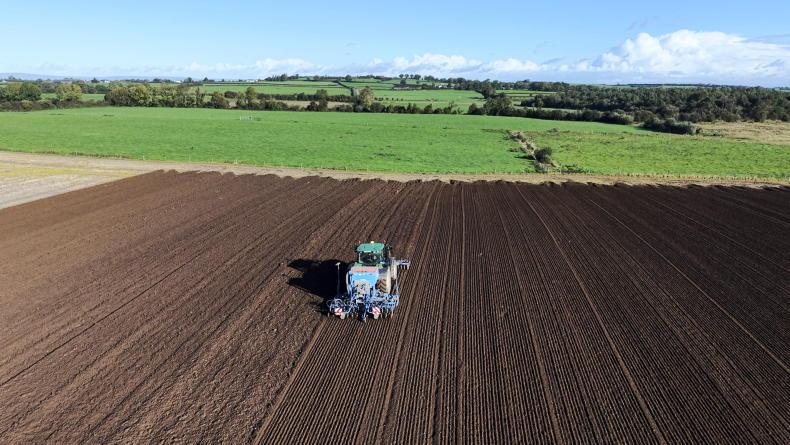 Tillage Podcast: new mill, malt and sowing Tillage Podcast: new mill, malt and sowing