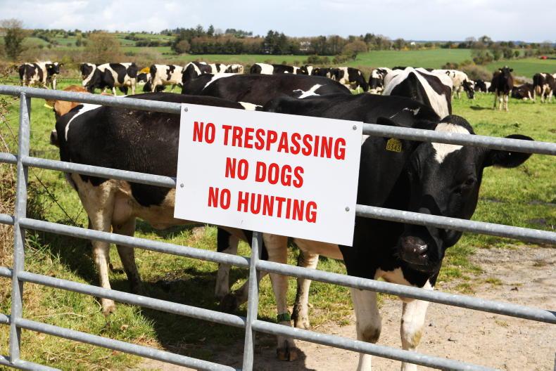 Calling for mandatory DNA certification for dogs Calling for mandatory DNA certification for dogs