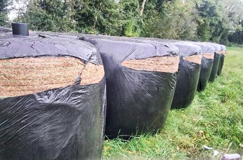 ‘It wasn’t just a hit and miss job’ - Offaly farmer’s silage bales slashed open ‘It wasn’t just a hit and miss job’ - Offaly farmer’s silage bales slashed open
