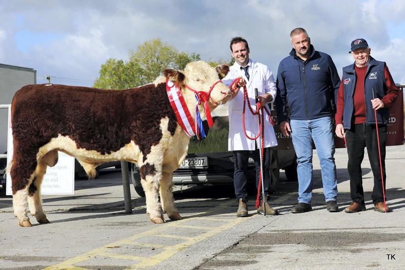 New record price for Hereford bull in Kilmallock New record price for Hereford bull in Kilmallock