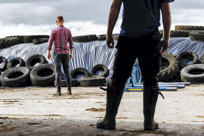 Westmeath dairy farm worker awarded €23,000 in WRC settlement Westmeath dairy farm worker awarded €23,000 in WRC settlement