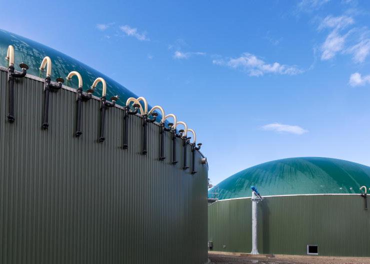 NI biomethane investment at risk without Stormont action NI biomethane investment at risk without Stormont action