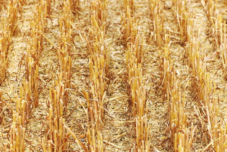 Tillage leases shooting the lights out Tillage leases shooting the lights out