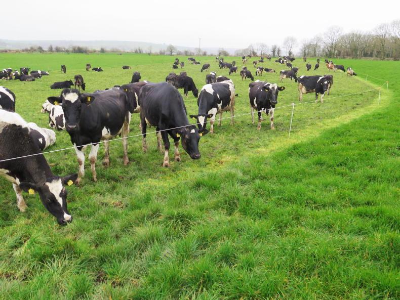 Dairy Management: teat sealing heifers and getting sheds winter-ready Dairy Management: teat sealing heifers and getting sheds winter-ready