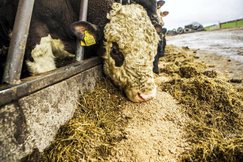 Lower-cost rations can end up costing more in lost performance Lower-cost rations can end up costing more in lost performance