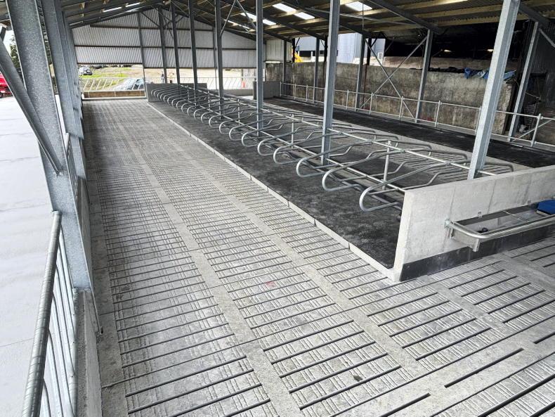 One new shed tackles two problems on this 180-cow Kilkenny dairy farm One new shed tackles two problems on this 180-cow Kilkenny dairy farm