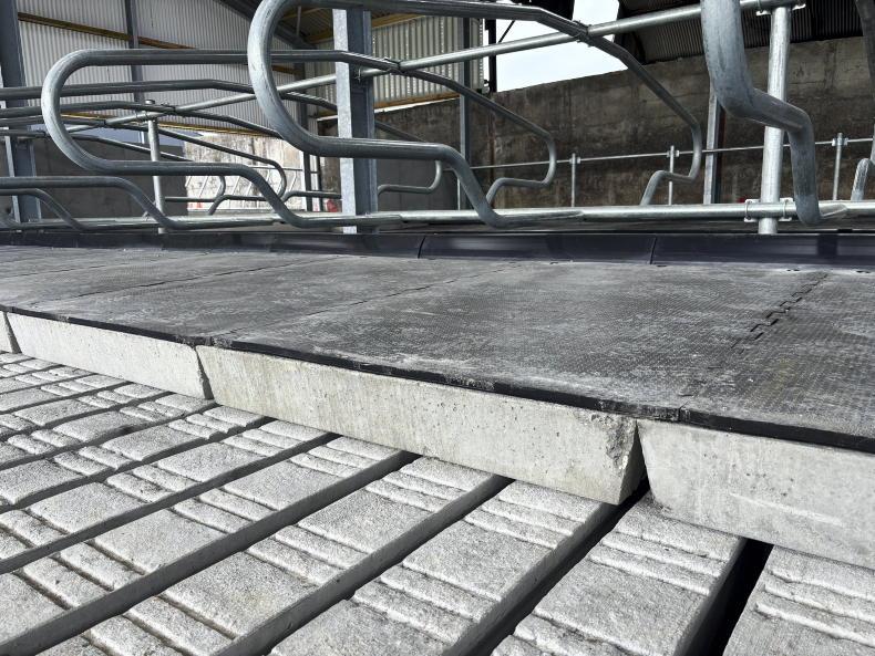 One new shed tackles two problems on this 180-cow Kilkenny dairy farm One new shed tackles two problems on this 180-cow Kilkenny dairy farm