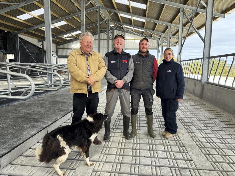 One new shed tackles two problems on this 180-cow Kilkenny dairy farm One new shed tackles two problems on this 180-cow Kilkenny dairy farm