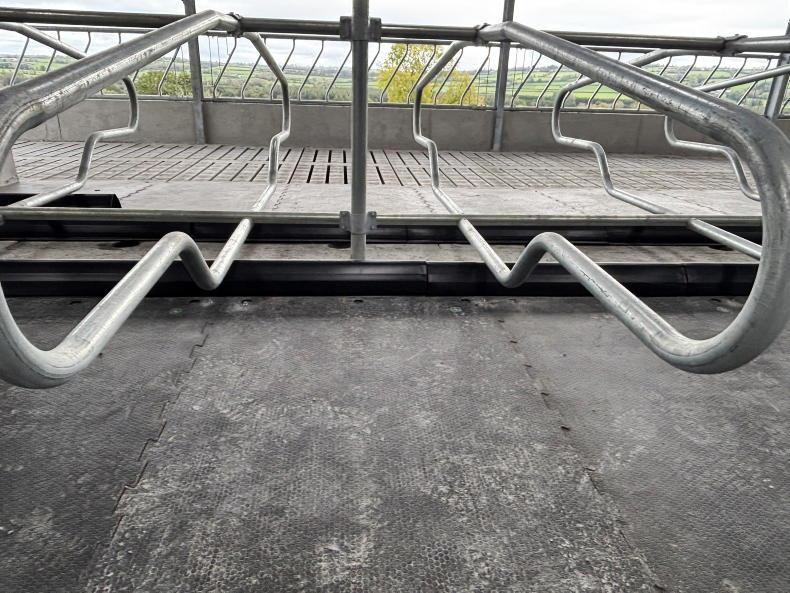 One new shed tackles two problems on this 180-cow Kilkenny dairy farm One new shed tackles two problems on this 180-cow Kilkenny dairy farm