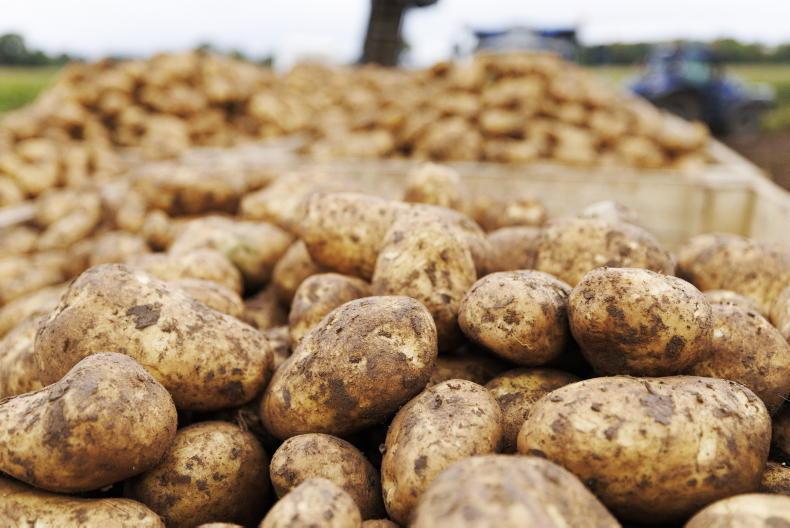 High Court rates ruling on potato and onion stores raises wider farm fears High Court rates ruling on potato and onion stores raises wider farm fears