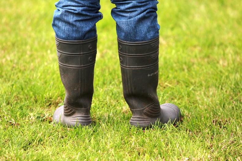 Jury discharged in trial of Mayo farmer accused of animal cruelty Jury discharged in trial of Mayo farmer accused of animal cruelty