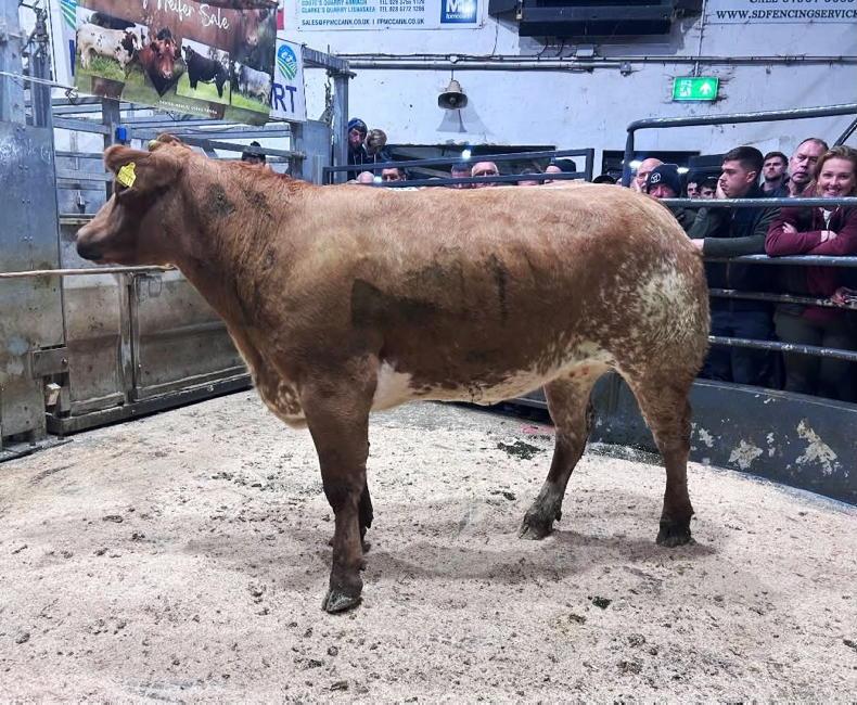 Swatragh 'showstoppers' in strong demand Swatragh 'showstoppers' in strong demand