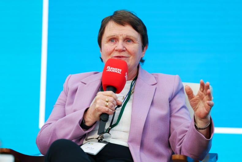 Maternity proposal is ‘good intention with no money' - IFA deputy president Maternity proposal is ‘good intention with no money' - IFA deputy president