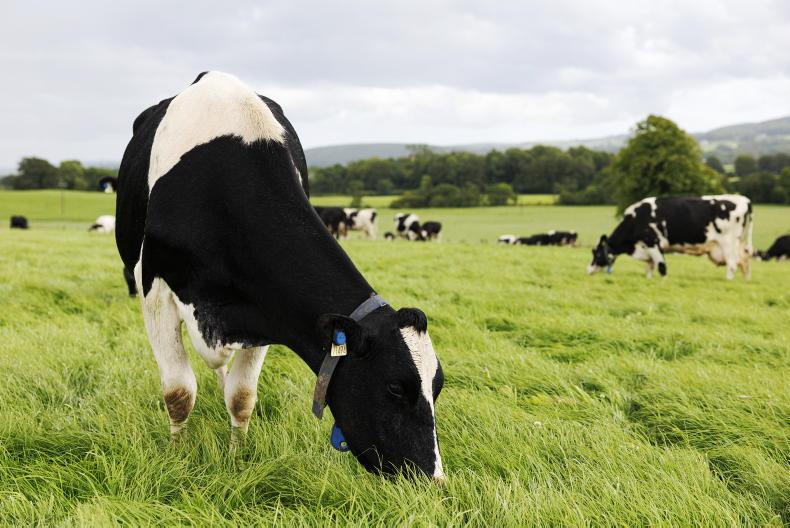 Farm tech that could save €110/cow and cut methane by 78% seeks out ...