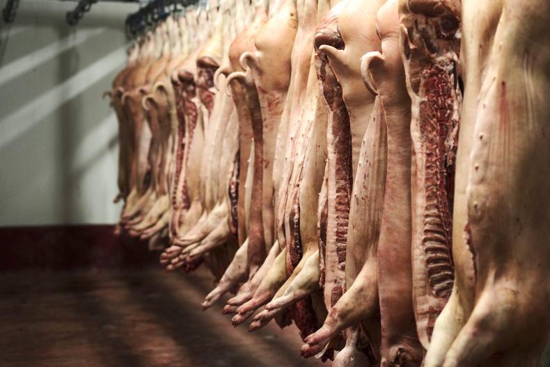 Focus: Irish pig sector shows resilience amid challenging global markets Focus: Irish pig sector shows resilience amid challenging global markets