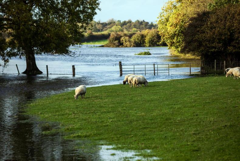 Storm Boelo to bring heavy rain and wind to west and north Storm Boelo to bring heavy rain and wind to west and north
