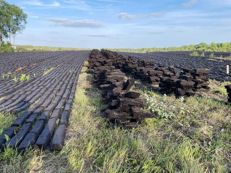 State could offer to buy bogs from landowners – minister State could offer to buy bogs from landowners – minister