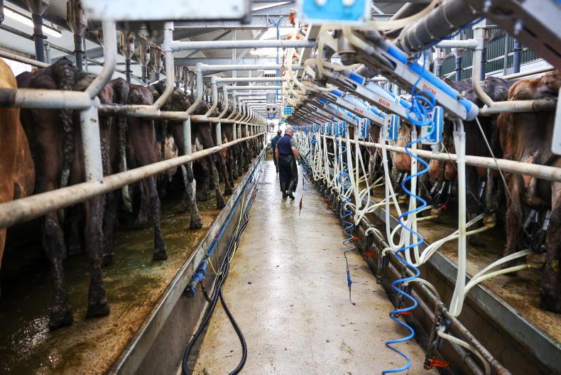 Dairy Trends: little change to dairy commodity prices in Europe Dairy Trends: little change to dairy commodity prices in Europe