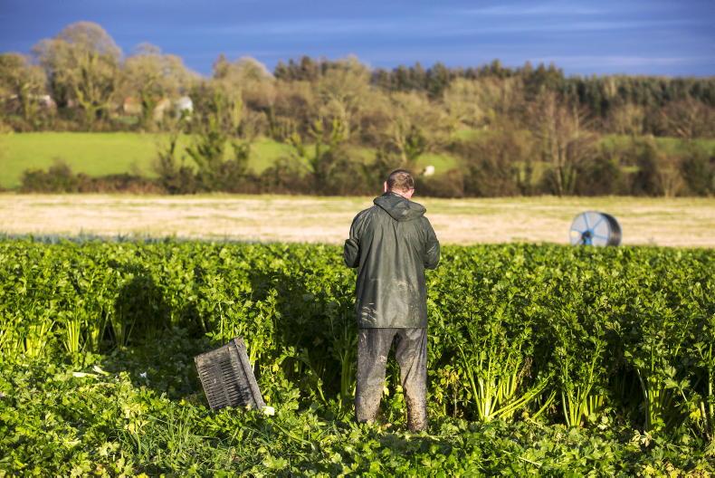 Seven in 10 Europeans believe food innovation can help farmers and food security Seven in 10 Europeans believe food innovation can help farmers and food security