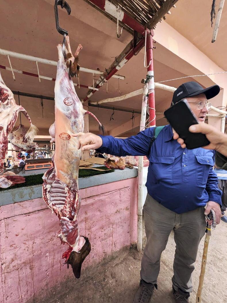 Rams selling for up to €1,000 per head in Morocco Rams selling for up to €1,000 per head in Morocco