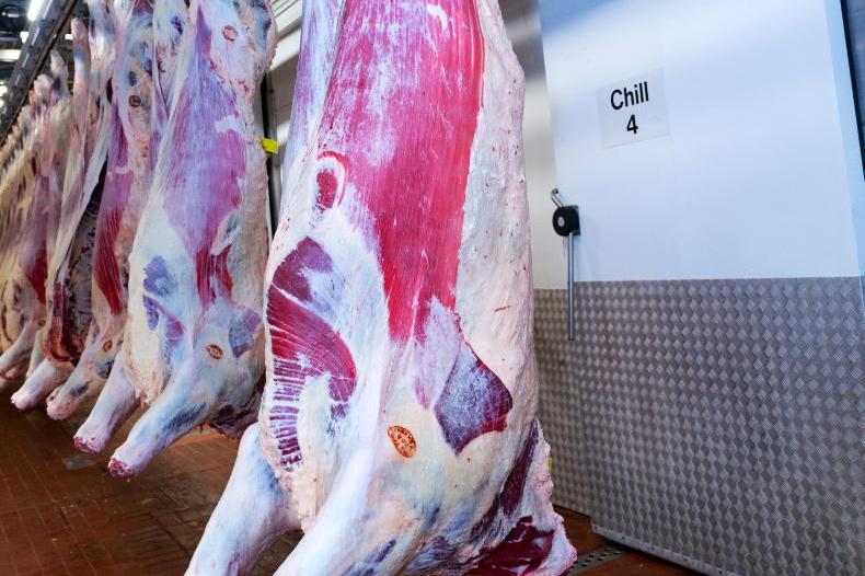 Cattle kill for 2026 down almost 4% on 2025 levels Cattle kill for 2026 down almost 4% on 2025 levels