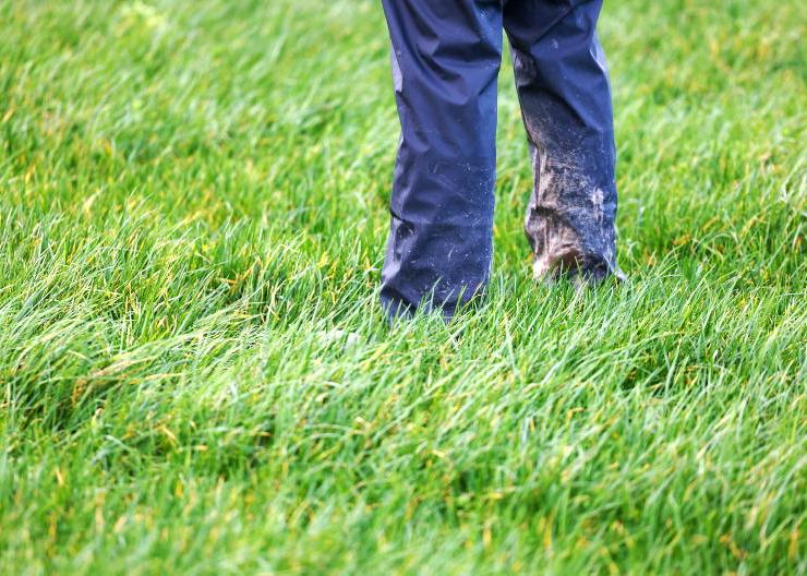 Estonian-built stump grinder is a game changer for Monaghan tree surgeon Estonian-built stump grinder is a game changer for Monaghan tree surgeon