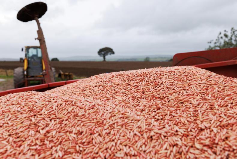 Winter crops set to hold steady for 2027 as oats recover Winter crops set to hold steady for 2027 as oats recover