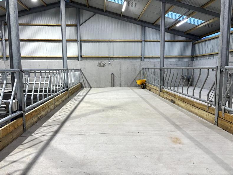 Inside a €98,000 Mayo suckler shed with some clever stainless-steel additions Inside a €98,000 Mayo suckler shed with some clever stainless-steel additions