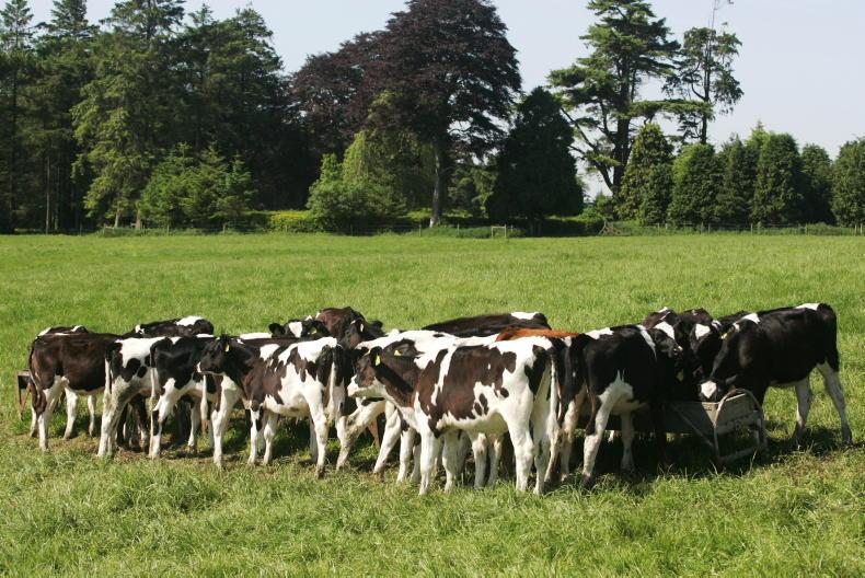 First the cows go, now the schools close First the cows go, now the schools close