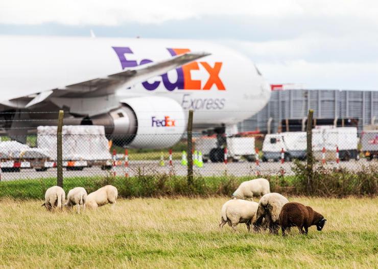 From France to Texas, boards take flight From France to Texas, boards take flight
