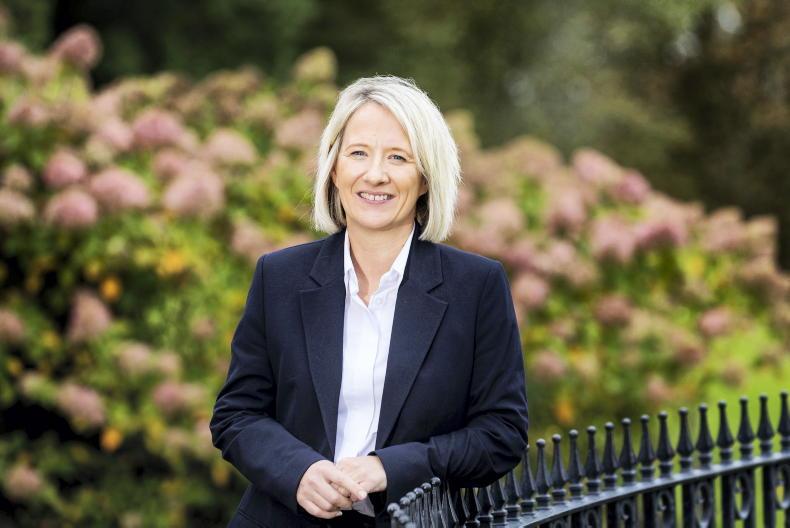 NI news briefs: Stormont to consult public on biomethane strategy NI news briefs: Stormont to consult public on biomethane strategy